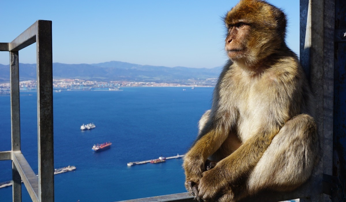 Excursion d'une journée à Gibraltar avec départ de la région d'Albufeira